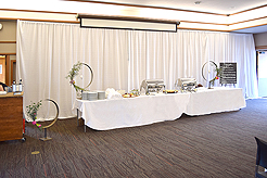 SPRING HAS SPRUNG BAT MITZVAH